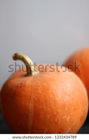 Thanksgiving Day. Pumpkins Table Setting. Thanksgiving background. Autumn bright colorful Vegetables. Minimal Food Styling.