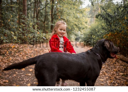 Little girl walking with Labrador dog in an autumn park