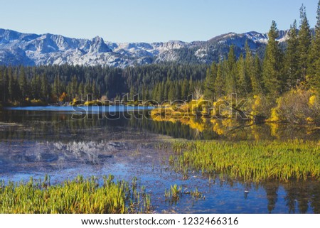 Vibrant panoramic summer view of Lake George near Twin Lakes, Mammoth Lakes, California, United States