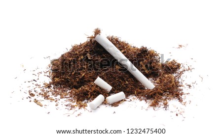 tobacco and cigarettes isolated on white 