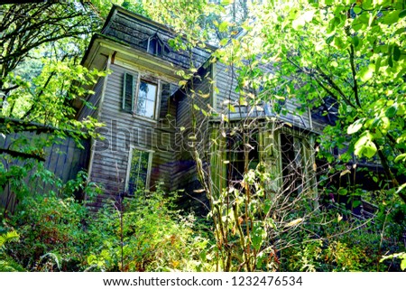 This is a picture of an old haunted house in a forest.
