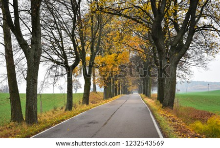 Long road to the autumn