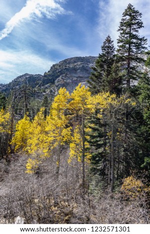 Exploring the mountains and cliffs during the fall in the Lake Tahoe area. Autumn leaves and granite landscapes.