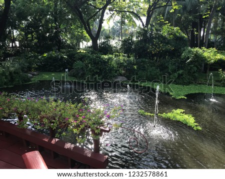 Beautiful pond with fountain shady with green trees