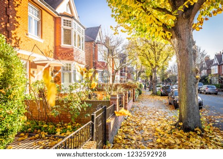 London suburb of Chiswick in the autumn time, UK