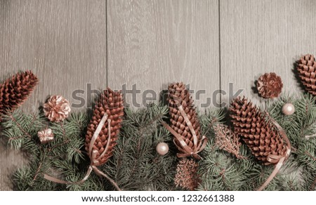 Pine cones on Christmas background.