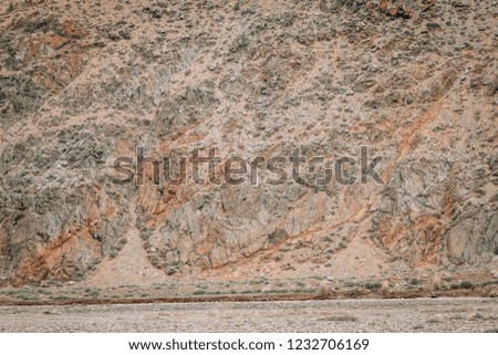 Close-up of a rock texture. Natural texture concept. Altai mountains 2018, Siberia, Russia.