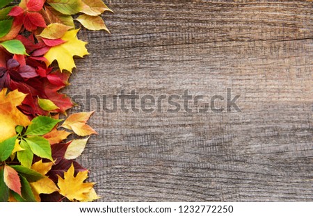 autumn leaves on a old wooden table
