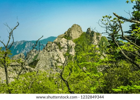 Sorak Mountain Korea Mountain Landscape Mountain climbing Tracking