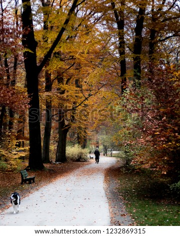walking in autumn