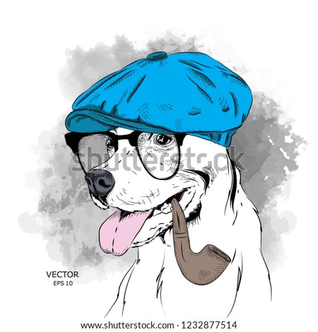 Image Portrait of dog in the hat and with tobacco pipe. Vector illustration.