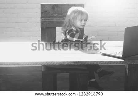 small boy and business kid with laptop on wooden chair and table, education concept