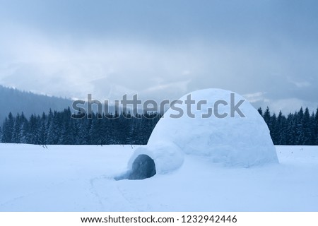 Real snow igloo house in the winter Carpathian mountains. Snow-covered firs on the background Royalty-Free Stock Photo #1232942446