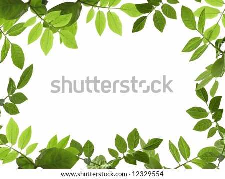 Green plant frame