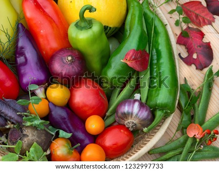  Bright autumn background with colorful vegetables close-up.