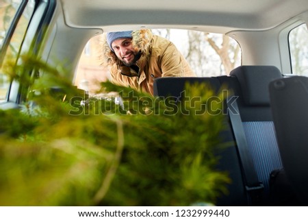 Bearded man loading christmas tree into the trunk of his car, inside view. Hipster puts fir tree into the back of his hatchback. Convertible auto interior with practical folding seats for boot space.
