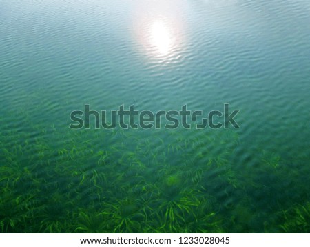 Transparent water surface through which is seen a texture of the bottom. Top view of the calm sea, lake, river, pond. Natural blue - green beautiful background image.