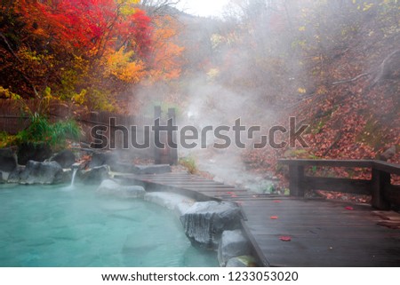 Japanese Hot Springs Onsen Natural Bath Surrounded by red-yellow leaves. In fall leaves fall in Yamagata. Japan. Royalty-Free Stock Photo #1233053020