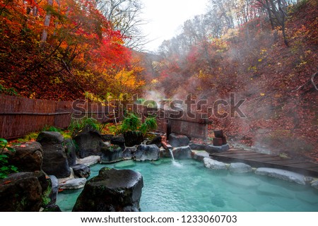 Japanese Hot Springs Onsen Natural Bath Surrounded by red-yellow leaves. In fall leaves fall in Yamagata. Japan. Royalty-Free Stock Photo #1233060703