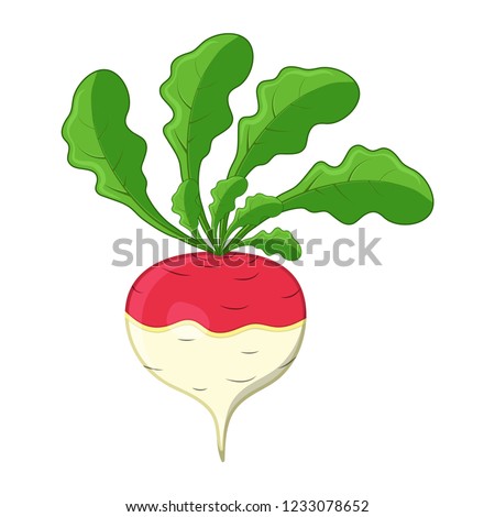 turnip cartoon icon design isolated on white background Royalty-Free Stock Photo #1233078652
