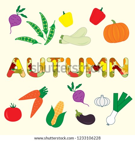 Vector illustration with carrot, zucchini, corn, pepper, eggplant, pumpkin, onion, garlic, peas, tomato, beetroot and autumn inscription. Harvest festival. Thanksgiving Day.