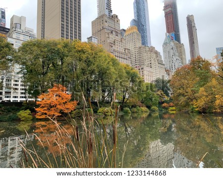 Central Park in the Autumn, NYC