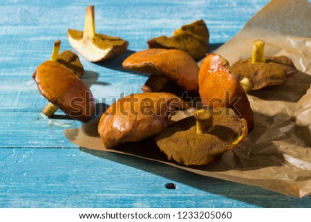 weeping bolete mushrooms on baking paper, old blue wood table