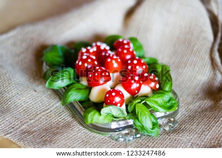 Food art with mozarella and fresh basil with cherry tomatoes a tiny mushrooms. Funny and healthy food snacks for kids or social gatherings.