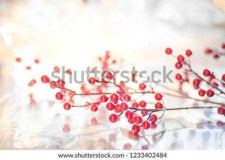 Christmas red berries on a branch