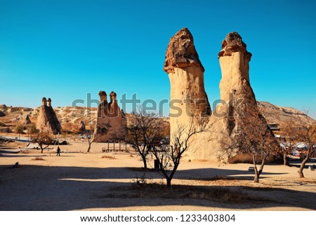 Cappadocia, Turkey. Fairy Chimney. Multihead stone mushrooms in the Valley of the Monks. Pasabag Valley.