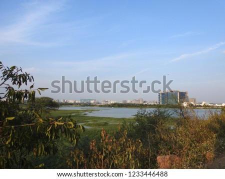 Beautiful Lake surrounded by trees, Nature in Hyderabad India