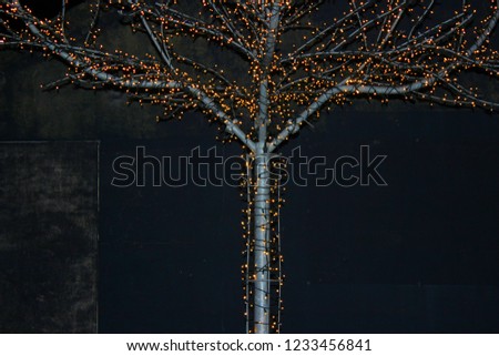 Decorative tree with illumination. Night city. Building background.