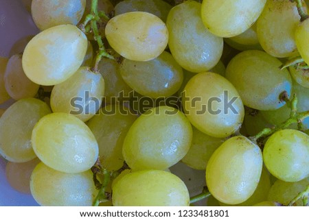 close up fresh grapes isolated on white background
