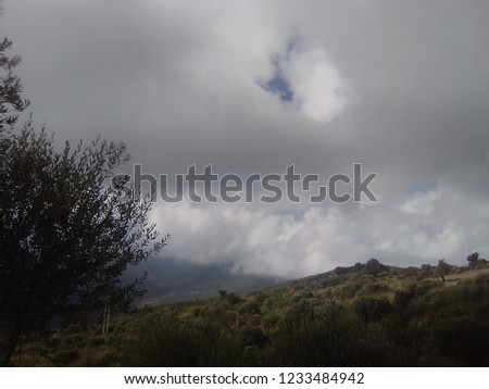 The plateau full of olive trees, with the backdrop of the cloudy sky, autumn and the concept of mountain nature