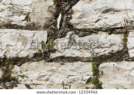 Detail from a stone fence wall