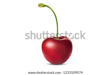 Realistic ripe cherry on a white background with gradient mesh. 3D effect. Vector illustration.