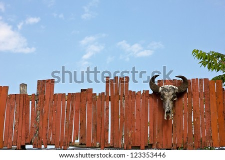 Head of cattle fence and sky.