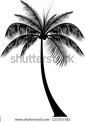 Realistic Palm Tree Silhouette