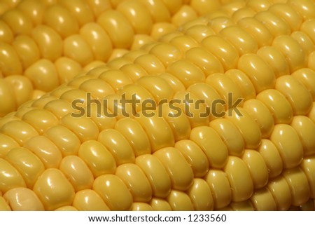 Corn on the cob up close. Royalty-Free Stock Photo #1233560