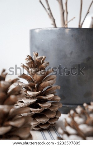          Pine cones on table next to vase                      