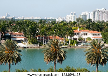The view through palms of Palm Island residential district in Miami (Florida).
