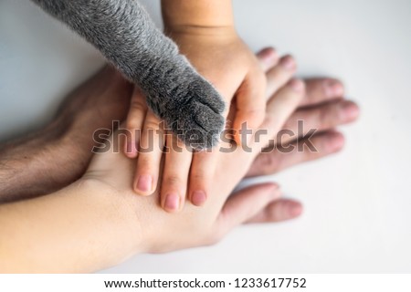 The hands of the family and the furry paw of the cat as a team. Fighting for animal rights, helping animals Royalty-Free Stock Photo #1233617752