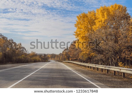 Amazing view with colorful autumn forest with asphalt mountain road. Beautiful landscape with empty road, trees and sunlight in in autumn. Travel background. Nature