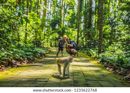 Dad and son travelers discovering Ubud forest in Monkey forest, Bali Indonesia. Traveling with children concept