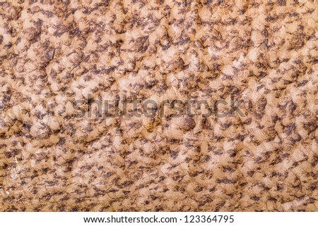 Beautiful natural background of leather halibut