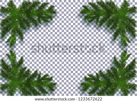 Four blue realistic fir branches with shadow. Placed in the corners. Isolated on transparent background. Christmas vector illustration