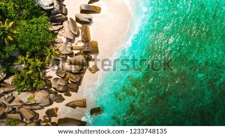 Tropical beach with sea and palm taken from drone. Seychelles famous shark beach - aerial photo