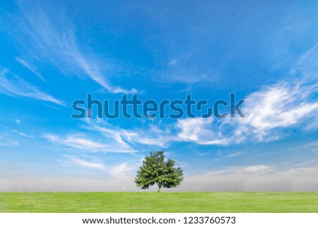 Blue sky and clouds with green grass and trees. Beautiful sky on summer season.