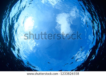 Aquatic Background of  a blue sky and clouds against the water surface from underwater in a tropical ocean
