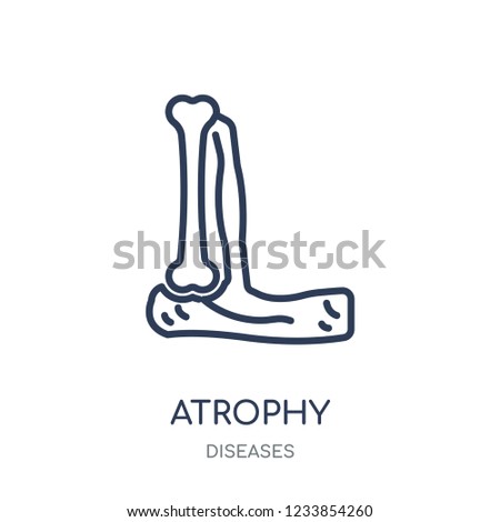 Atrophy icon. Atrophy linear symbol design from Diseases collection. Simple outline element vector illustration on white background